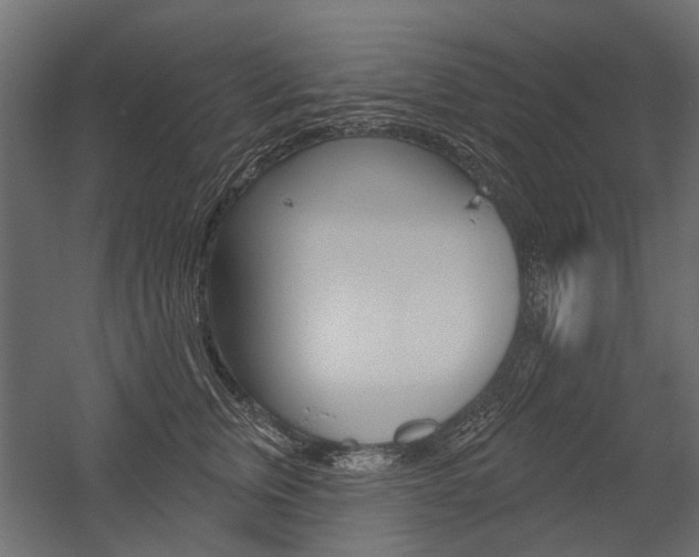 X0000054460759200507291021