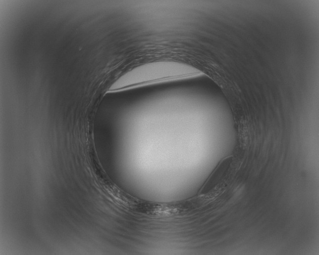 X0000054460760200507291021