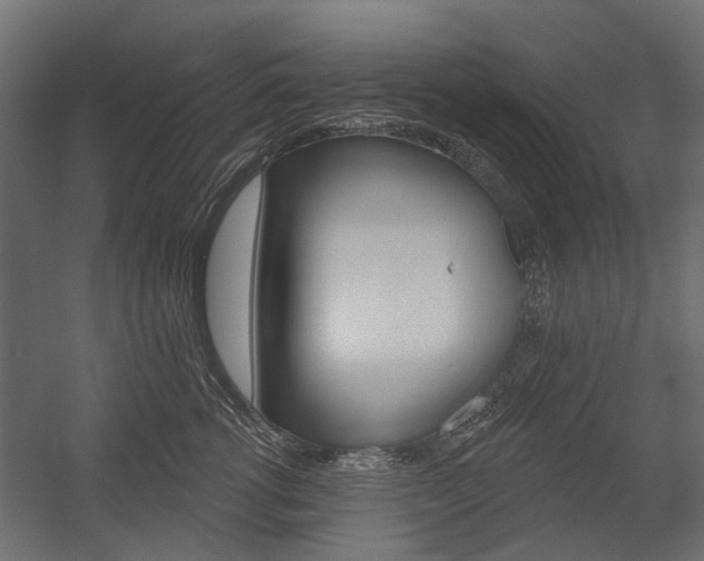 X0000054460762200507291021