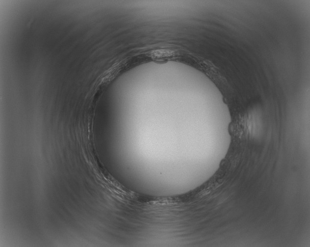 X0000054460763200507291021