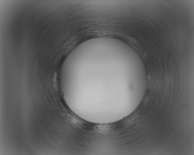 X0000054460765200507291021