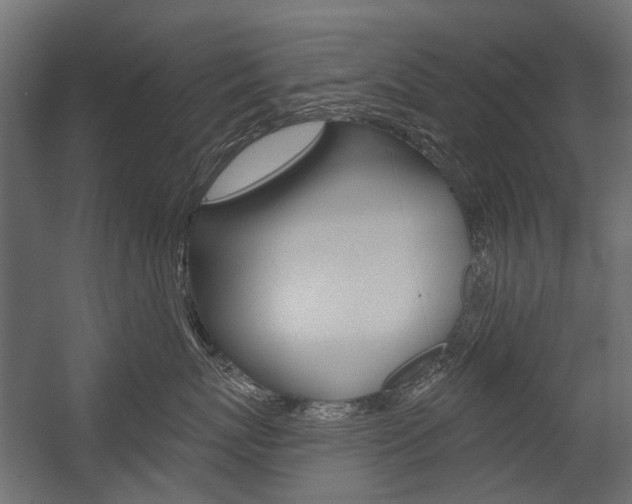 X0000054460767200507291021
