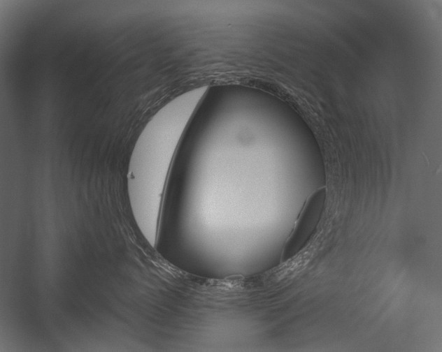 X0000054460768200507291021