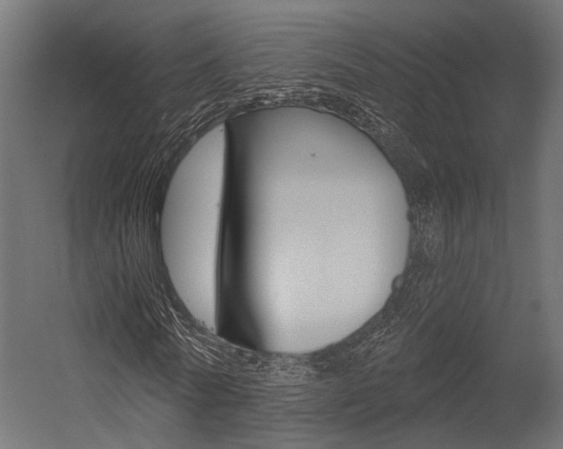 X0000054460770200507291020