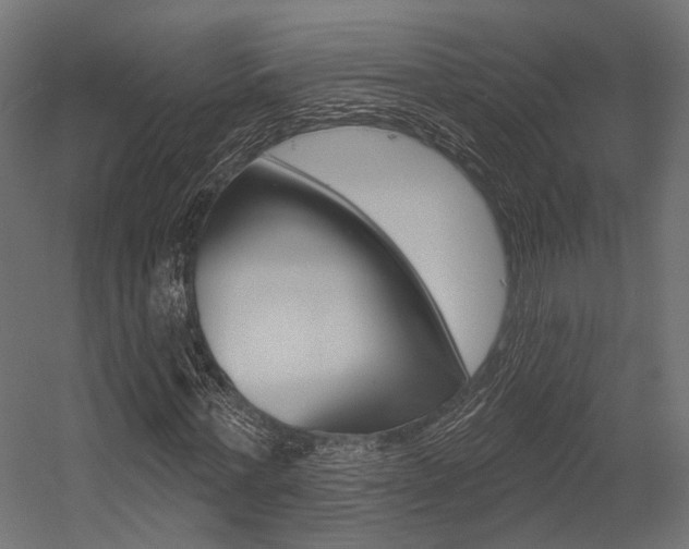 X0000054460771200507291020