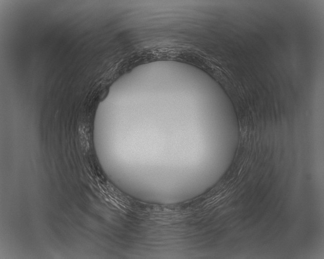 X0000054460772200507291020
