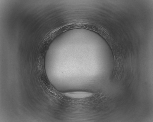 X0000054460773200507291020