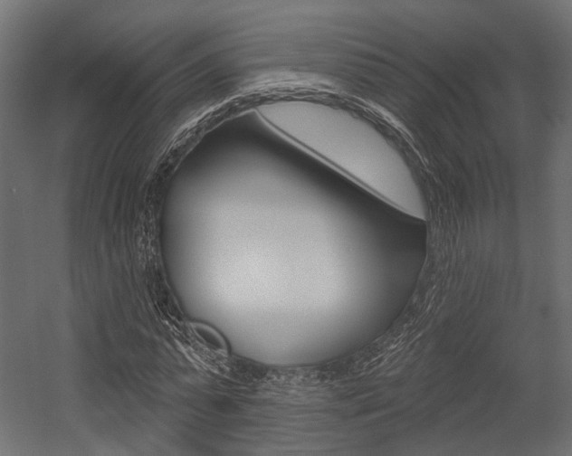 X0000054460775200507291020