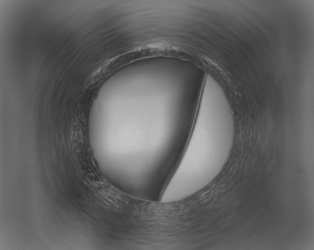 X0000054460776200507291020