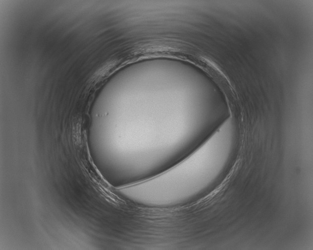 X0000054460777200507291020