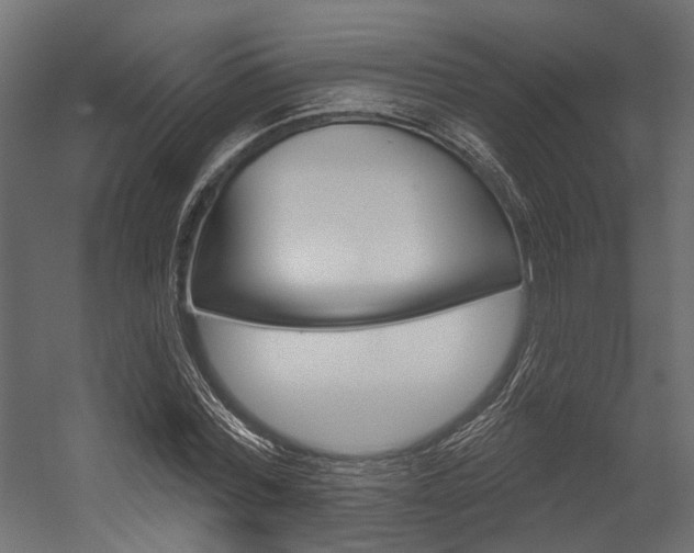 X0000054460780200507291020