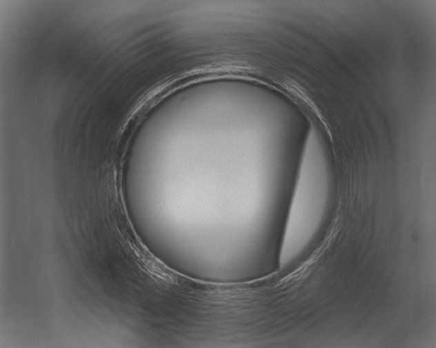 X0000054460781200507291020
