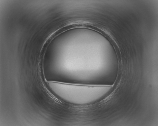X0000054460783200507291020