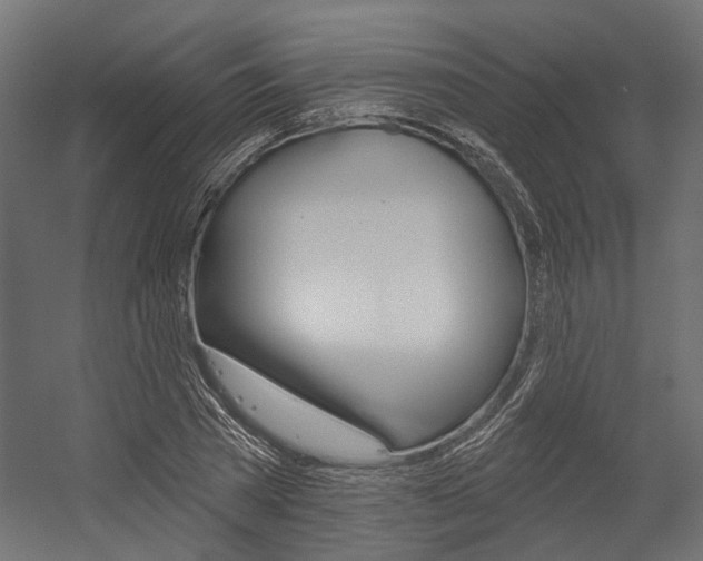 X0000054460785200507291020