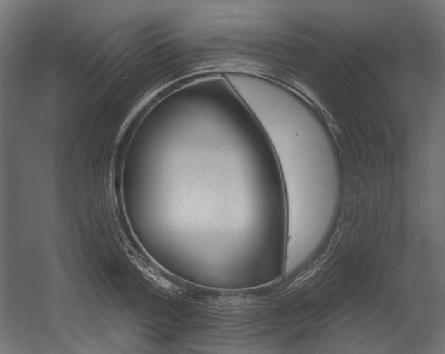 X0000054460788200507291020