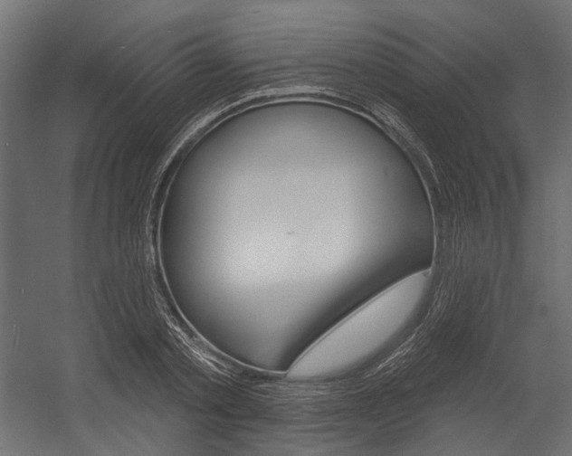 X0000054460789200507291020