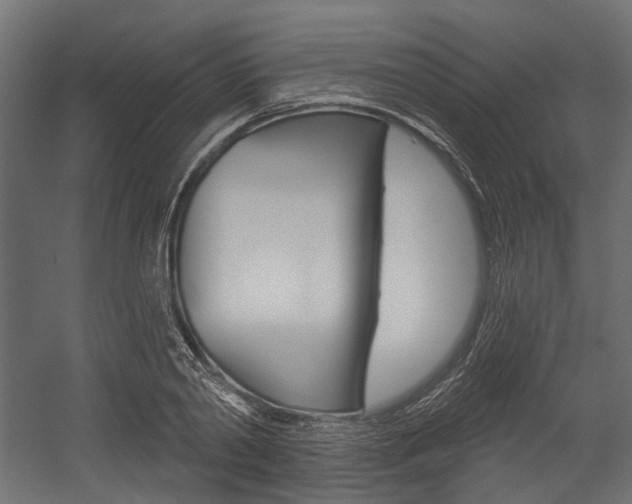 X0000054460790200507291020