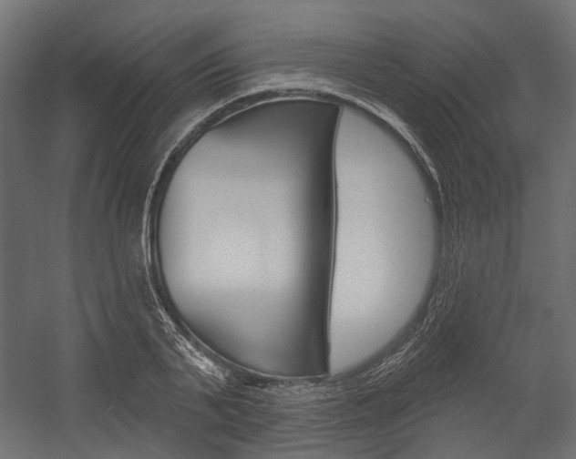 X0000054460791200507291020