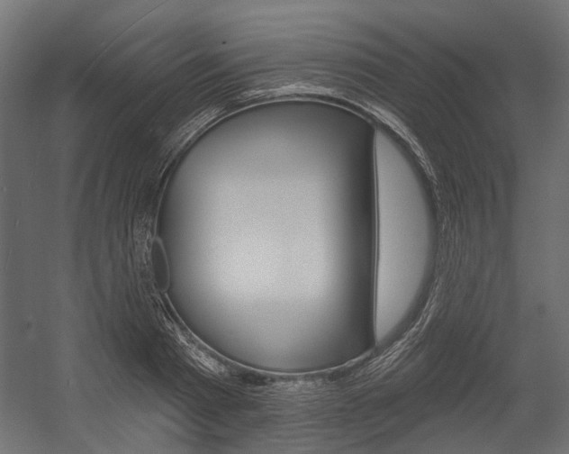 X0000054460793200507291020