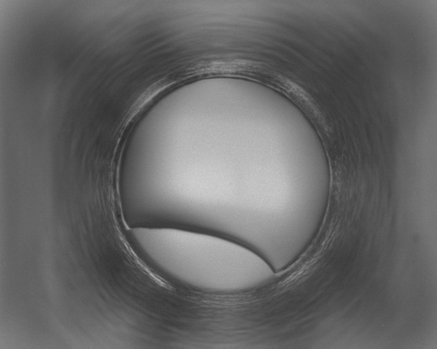 X0000054460794200507291020