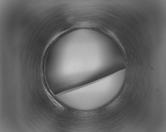 X0000054460795200507291020