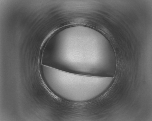 X0000054460796200507291020