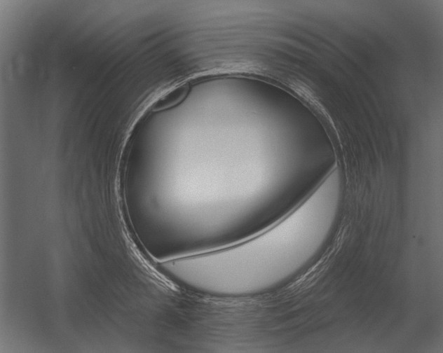 X0000054460797200507291020