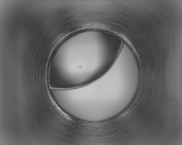 X0000054460799200507291020