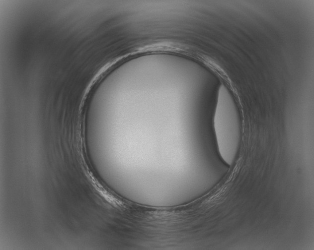 X0000054460800200507291020
