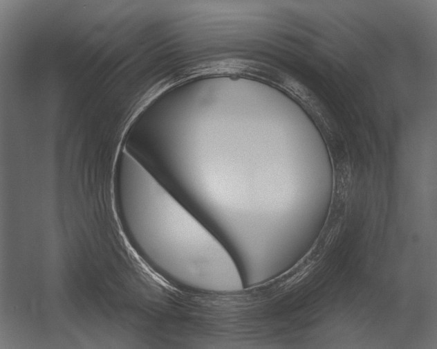 X0000054460802200507291020