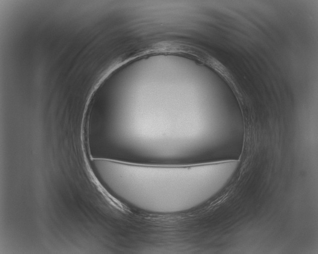 X0000054460803200507291020