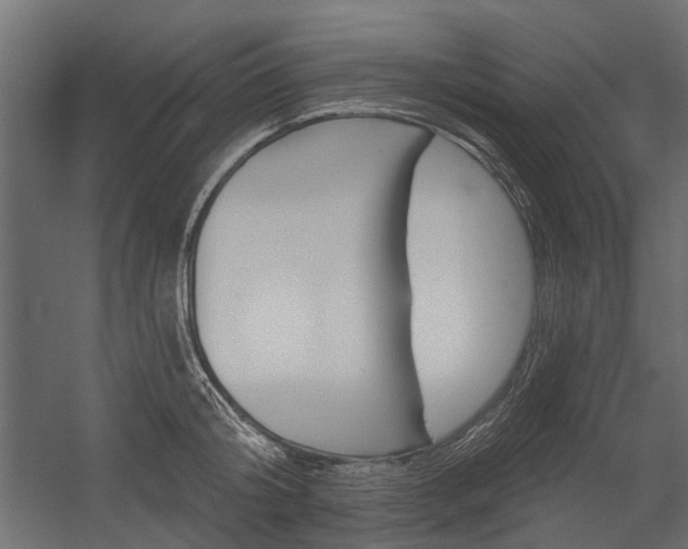 X0000054460804200507291020