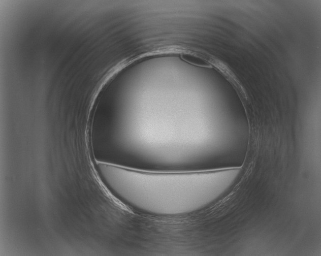 X0000054460805200507291020