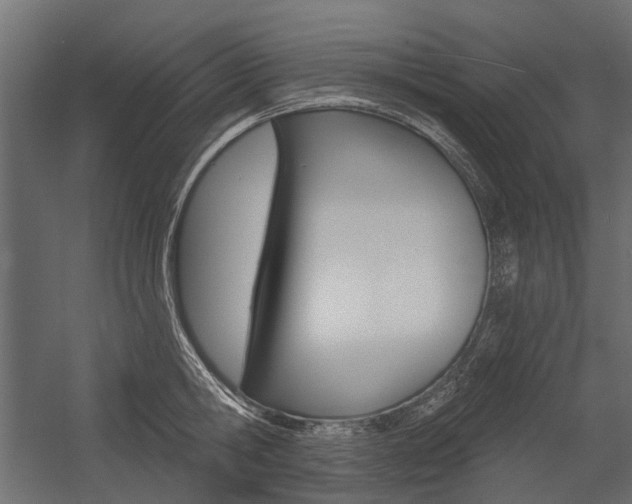 X0000054460806200507291020