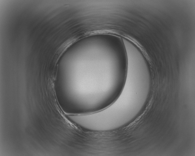 X0000054460809200507291020