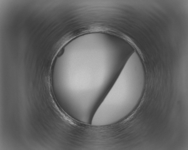 X0000054460810200507291020