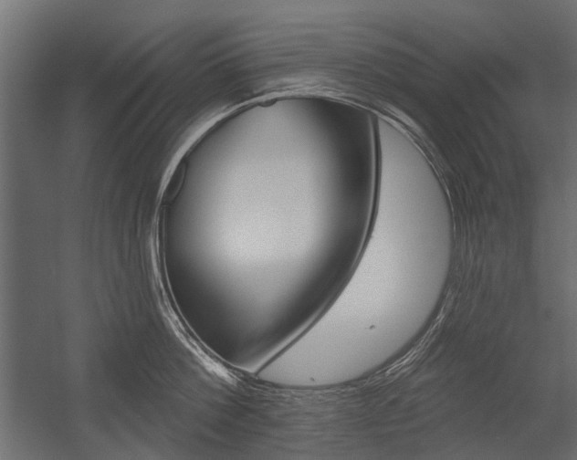 X0000054460812200507291019