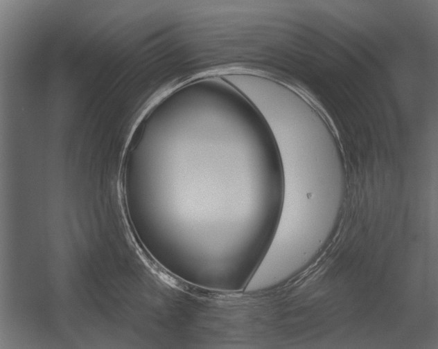 X0000054460813200507291019