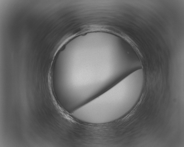 X0000054460814200507291019