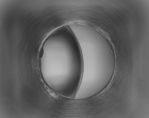 X0000054460816200507291019