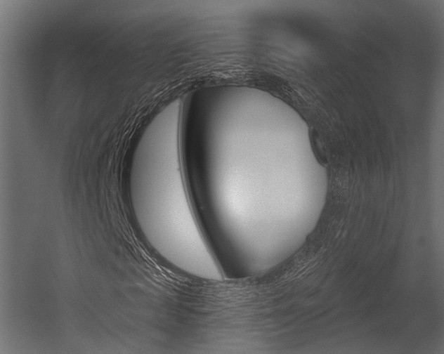 X0000054460817200507291019