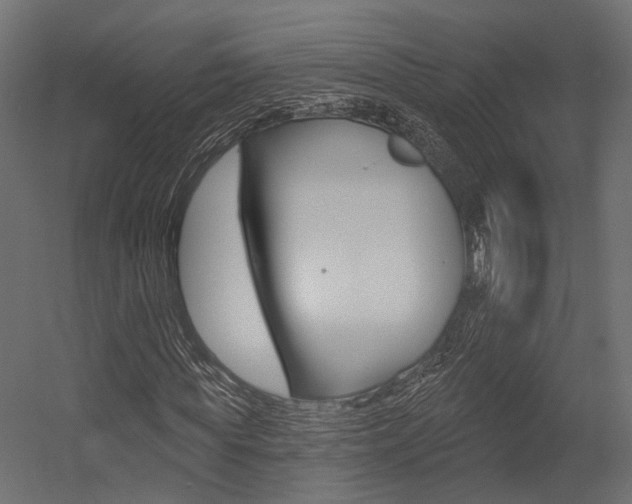 X0000054460819200507291019