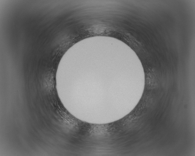 X0000054460820200507291019