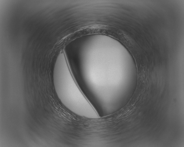 X0000054460821200507291019