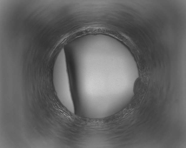 X0000054460823200507291019