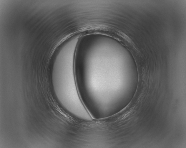 X0000054460826200507291019