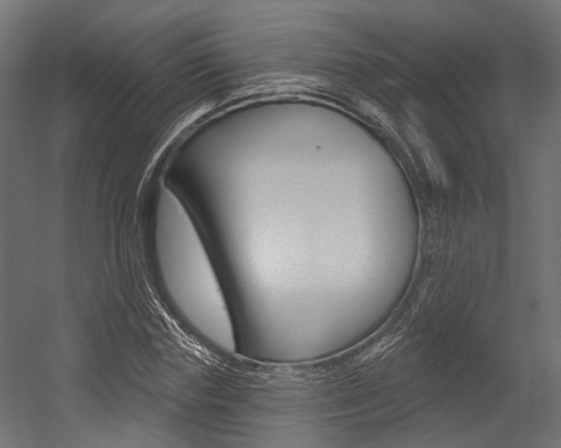 X0000054460827200507291019
