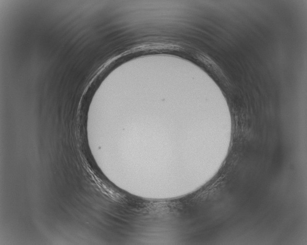 X0000054460828200507291019