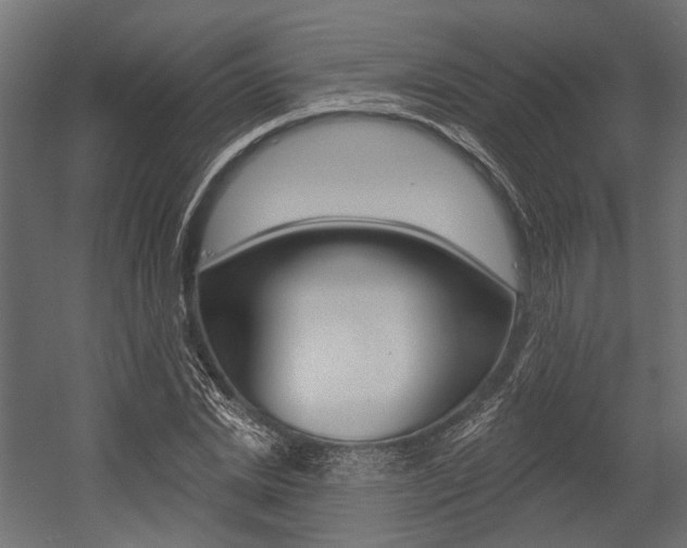 X0000054460830200507291019