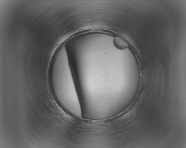 X0000054460831200507291019